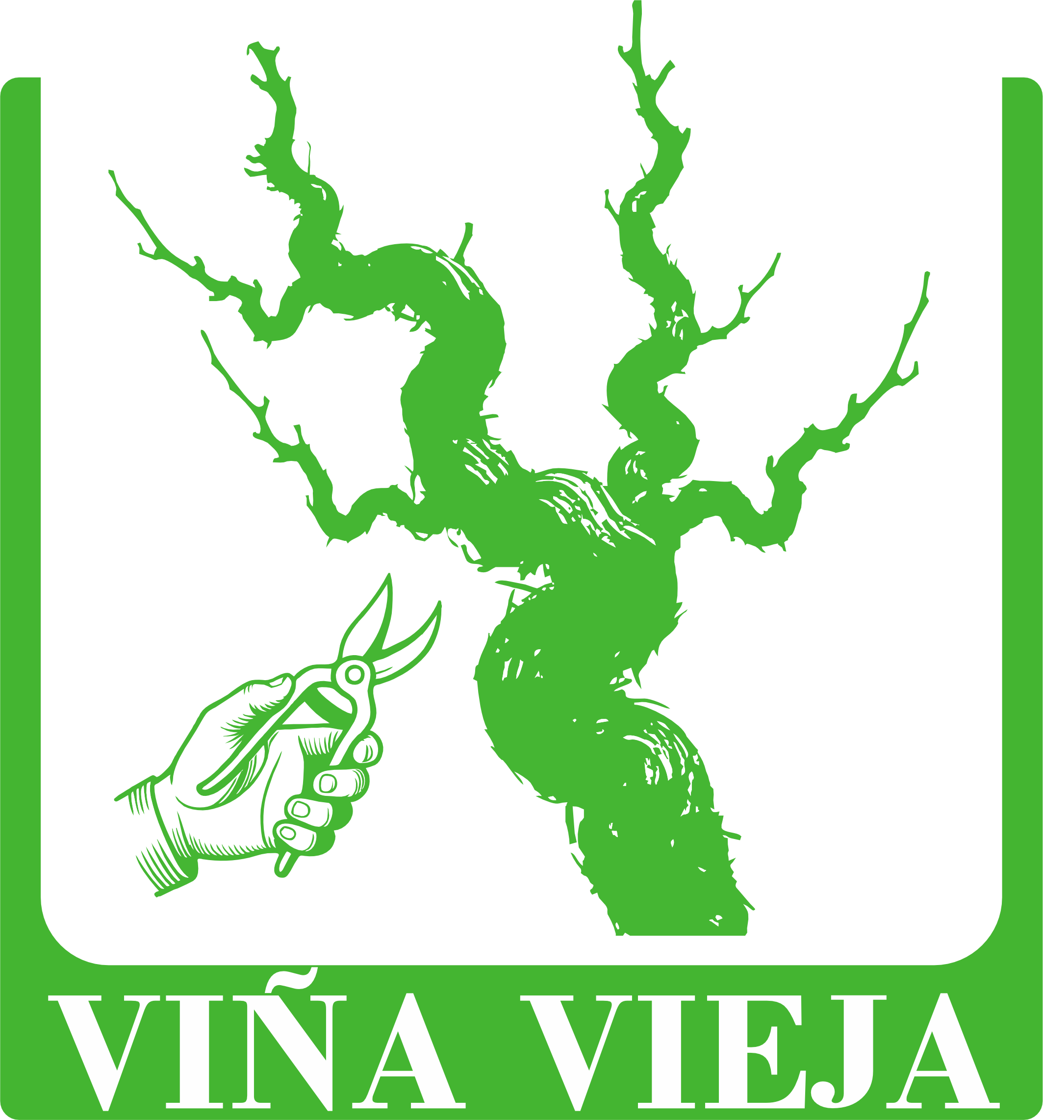 Viña Vieja